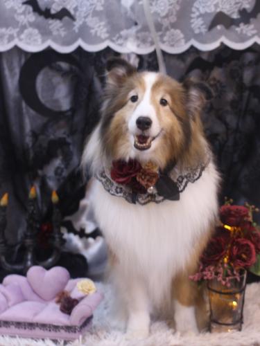 20231019サニーくん